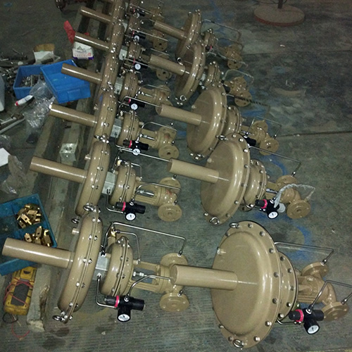 ����������һ��